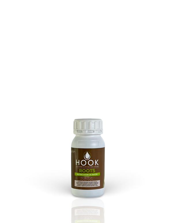 Hook Roots - Imagen 4