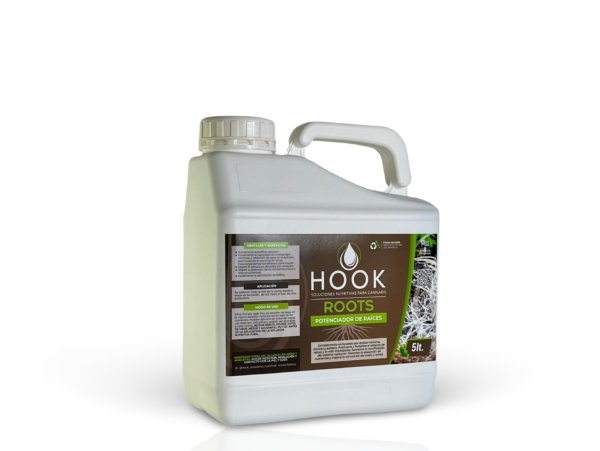Hook Roots - Imagen 5
