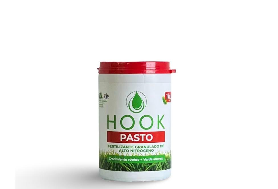 HOOK PASTO
